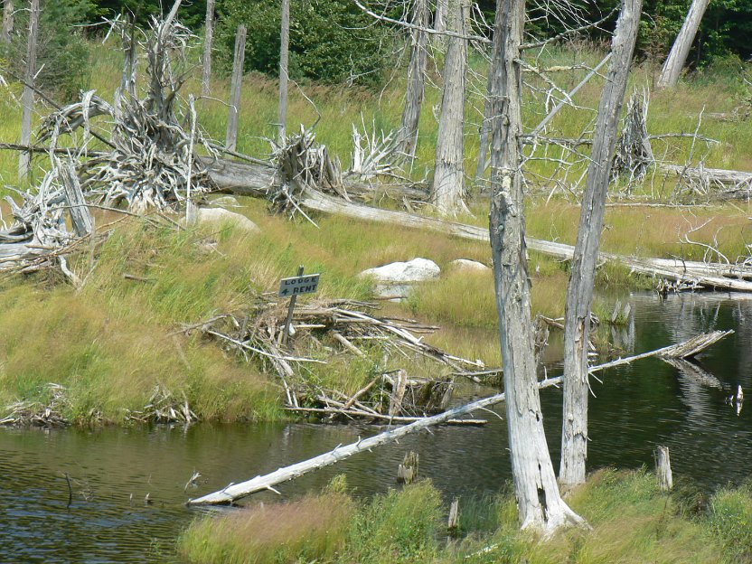 024-beaver lodge.jpg